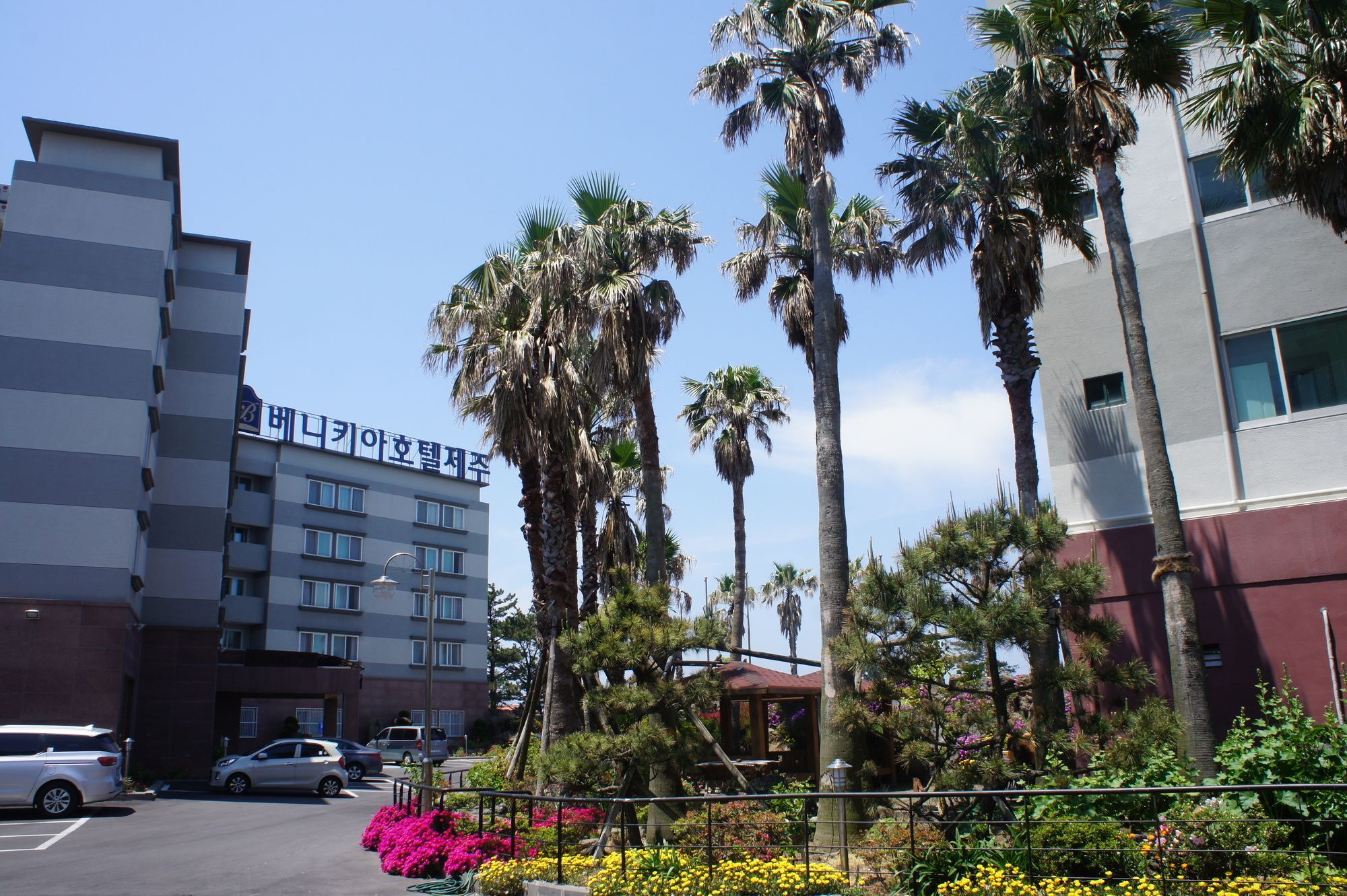 Benikea Hotel Jeju Dış mekan fotoğraf